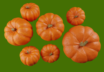 pumpkin illustration on a green background. Whole pumpkins for making Jack's Halloween lamps. Pumpkins for carving lamps for halluin. pumpkin illustration 3d rendering. gourds top view.