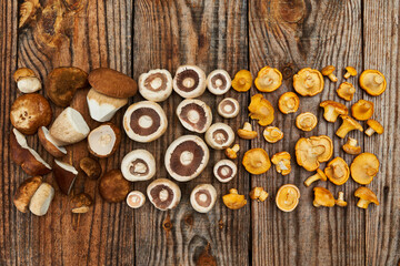 Variety of edible forest mushrooms on wooden board