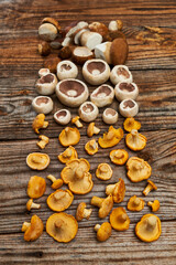 Variety of edible forest mushrooms on wooden board
