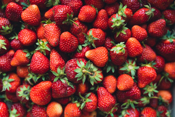 Strawberry top view background. Summer food pattern. Raw fresh farming berries. Healthy eating concept. Raw foodism.
