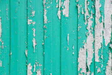 Old metal shabby green fence. Background with place for text