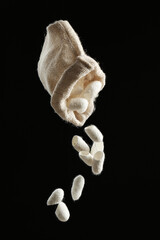 Shaking white silk cocoons out of sackcloth bag on black background