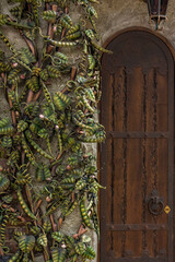 Architectural elements of the wall. Close-up background. A metal element.