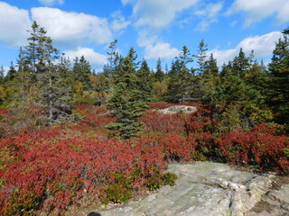 Landscape Photographs of Coastal Maine - Fjords, Autumn Foliage, Mountains, and Forests of Acadia National Park