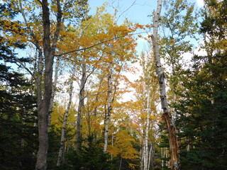 Landscape Photographs of Coastal Maine - Fjords, Autumn Foliage, Mountains, and Forests of Acadia National Park