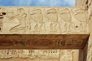 Medinet Habu Temple carving of Pharaoh Ramses II and Baboons