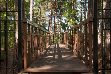 Old wooden bridge with stairs in forest. Staircase in the wood. Footbridge in park. Adventure and explore concept.