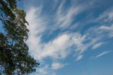 Beautiful blue sky background, white clouds covering thinly spread the sky