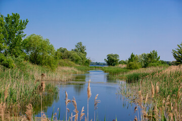 Fototapeta na wymiar landscape of the Little Balaton - Hungary