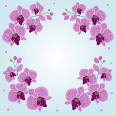 Fototapeta na wymiar pink orchid background