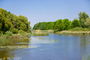 landscape of the Little Balaton - Hungary