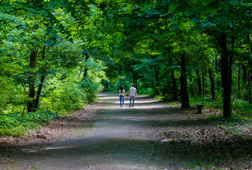 A couple walking on an alley among the trees near Lake Balaton - Hungary