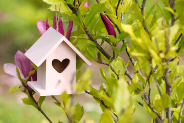 Obraz na płótnie Canvas Pink bird house on blooming magnolia tree outdoors. Space for text