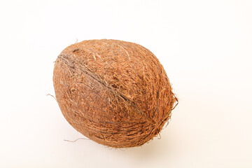 Tropical brown coconut over background