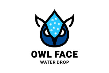 Double Meaning Logo Design Combination of Water Drop and Owl Face