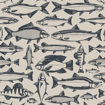 Vector fish retro-styled seamless pattern or background. Fish illustration collection