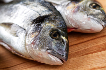 Raw Sea Bream Preparation with Herbs and Lemon
