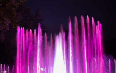 Magical fountain in Margaret Island Budapest by night. It works according to the rhythm of the...