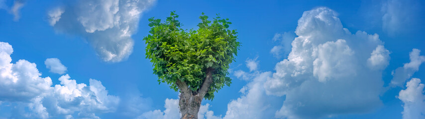 Summer landscape, sky. A heart-shaped tree against a blue sky. Bright curly clouds.