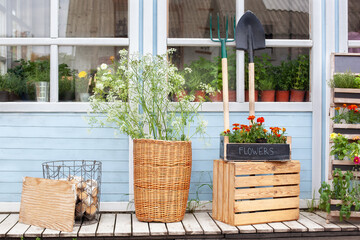 Fototapeta na wymiar Exterior wooden porch of house with green plants and flowers in box. Facade home with garden tools, wicker basket and pots flowers. Cozy summer decor veranda house. Gardening concept. Street patio 