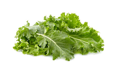 Green leaf of kale isolated on white background.