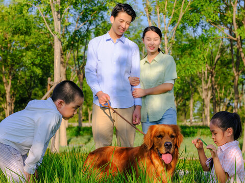 Happy family of four and pet dog playing in the park
