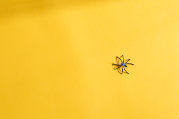 Halloween holiday Black spiders over yellow background. Top view