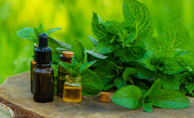 bottle of essential oil Peppermint with fresh mint leaves, herbal scent in a dark glass jar. On the stump. Aromatherapy concept.