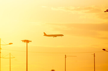 Plane in the sunset