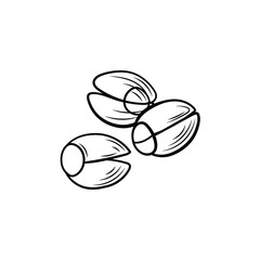 Vector lotus seeds outline illustration isolated on white background, black lines.
