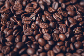 Fresh roasted coffee beans background, Dark tone, Selective focus.