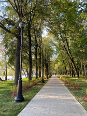 alley in the park