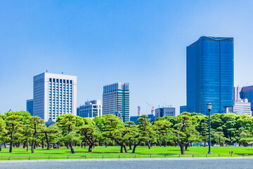 Obraz premium 春の東京都市風景