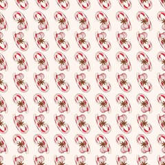 Striped red and white caramel with badyan