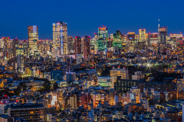 Fototapeta na wymiar 東京都市風景　夜景