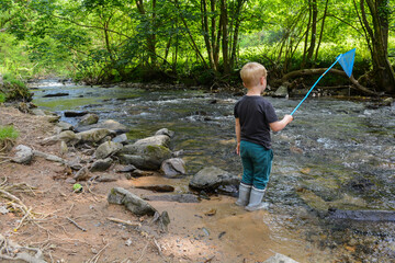 A boy fishing in a stream with a net in the countryside