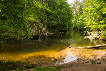 Obraz premium Die Gorges de Crosery in den Vogesen in Frankreich