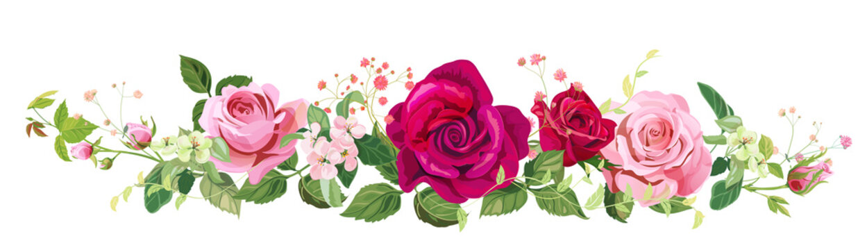 Panoramic view: bouquet of roses, spring blossom, gypsophila. Horizontal border: pink, red flowers, buds, green leaves on white background. Digital draw illustration watercolor style, vintage, vector