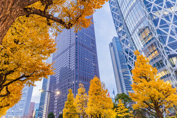 秋の新宿副都心