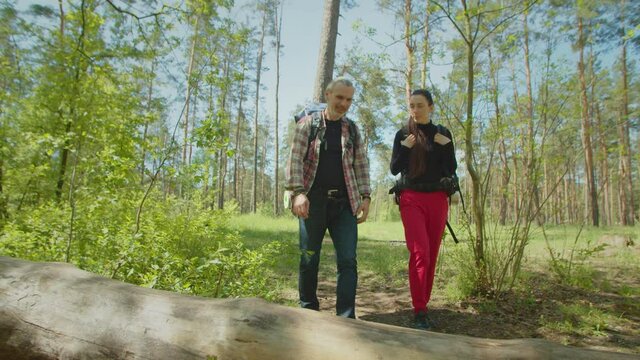 Caring middle aged gray haired male backpacker helping hiker woman with backpack to overcome obstacle in forest, taking break on collapsed tree trunk while enjoying adventure trek on summer vacations.