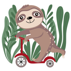 A cute sloth is riding a scooter. Vector illustration isolated on white background. Baby shower card, poster, decoration, sticker.