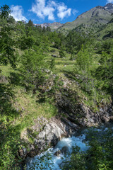 Torrent  et cascade du Parc National des Ecrins en été , Hautes-Alpes , France