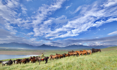 Horses, Mountain Landscape, Gansu, China