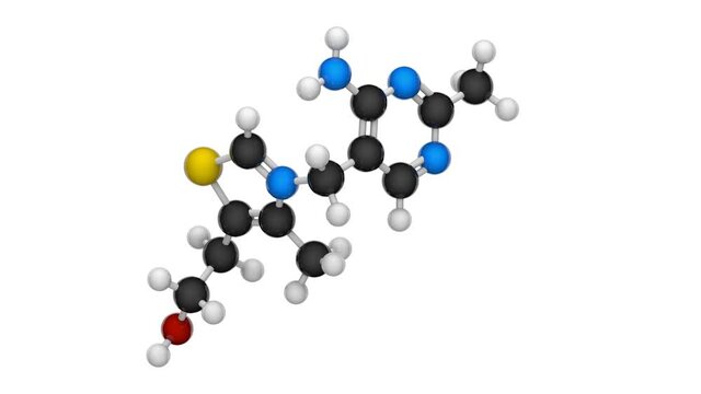 Vitamin B1(Thiamine or aneurine). 3D render. Seamless loop. Chemical structure model: Ball and Stick. White background.