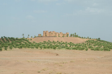 Fototapeta na wymiar castle in the desert