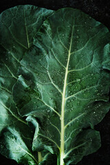 Leaves of cabbage. Raw fresh green cabbage texture and background, top view over dark background, selective focus.