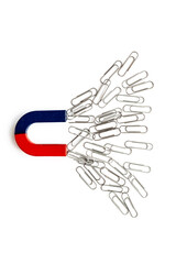 Horseshoe magnet collecting paper clips. Top view