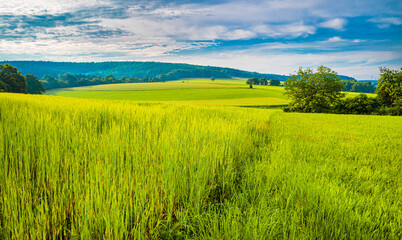 Klimaneutral -Net-Zero-2050