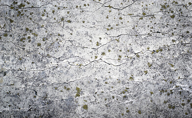 Background aged natural stone with moss