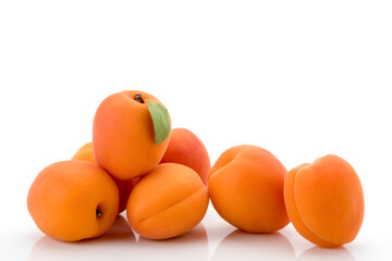 Apricots isolated on white background with copy space, graphics for label or greeting card